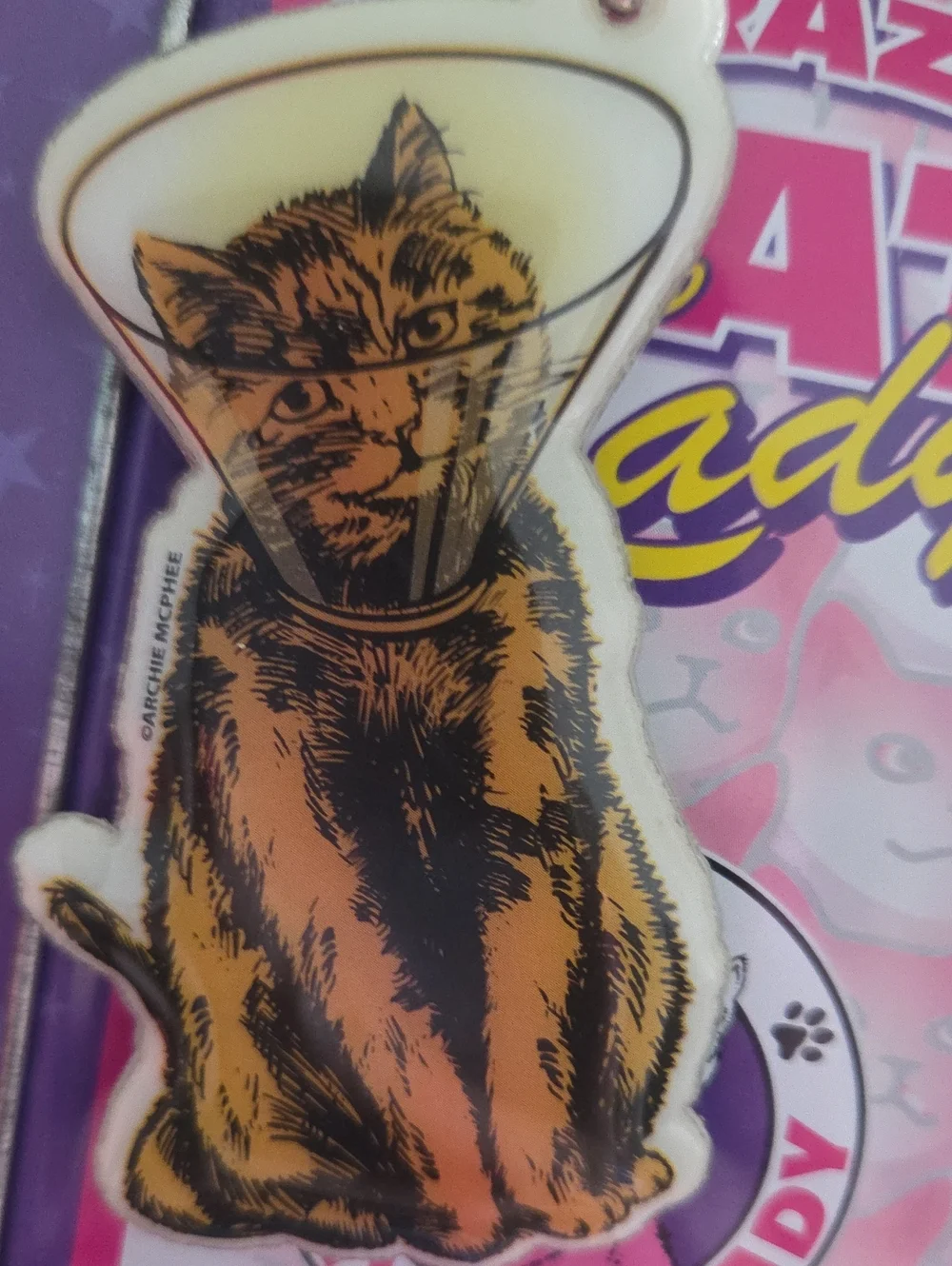 Crazy Cat Lady Pink Metal Lunchbox